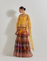 Multicolour Florika Organza Printed Sharara Paired With Organza Hand Embellished High Low Cape