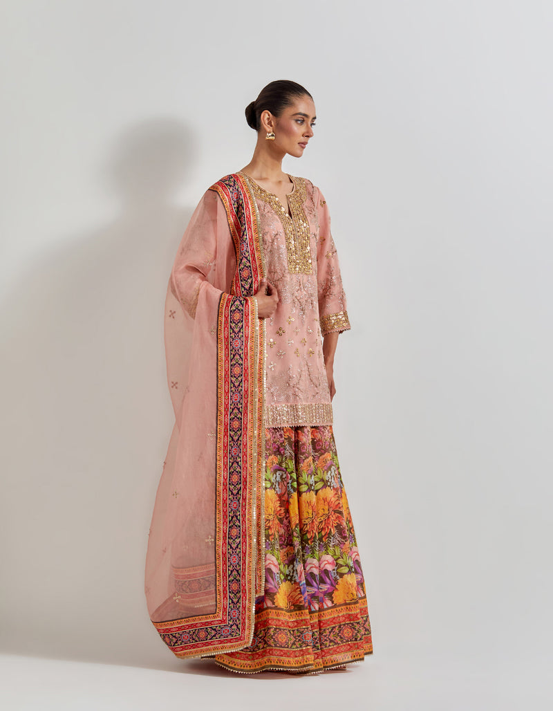 Multicolour Florika Printed And Hand Embellished Sharara Set