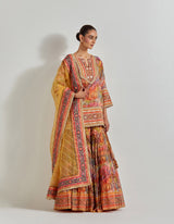 Multicolour Florika Printed Sharara Set