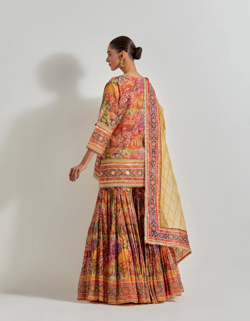 Multicolour Florika Printed Sharara Set