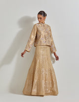 Gold Desert Rose Gold Skirt Paired With Tissue Hand Embellished Jacket