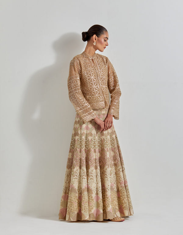 Gold Desert Rose Gota Embroidered Jacket Paired With Cross Stitch Embroidered Skirt On Mesh