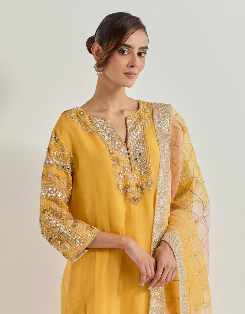 Yellow Organza And Chanderi Raeth Kurta Set