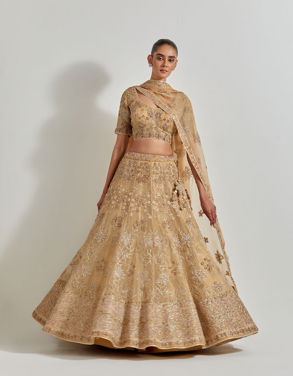 Gold Organza Hand Embellished Lehenga Set