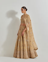 Gold Organza Hand Embellished Lehenga Set