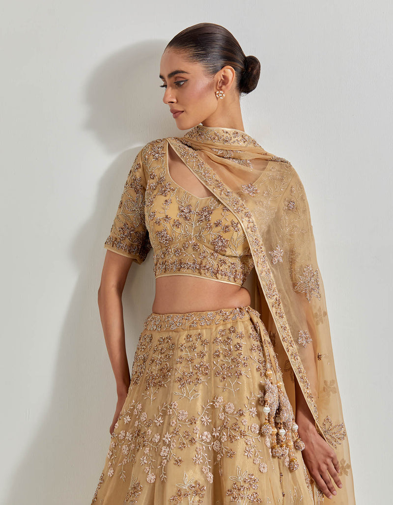 Gold Organza Hand Embellished Lehenga Set