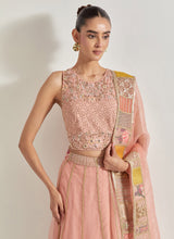 Pink Patch Work Lehnga Set In Organza Silk