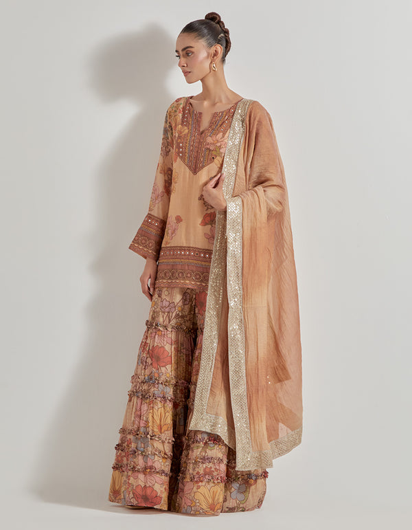 Multicolor Petal Prism Printed Tissue Chanderi Sharara Set