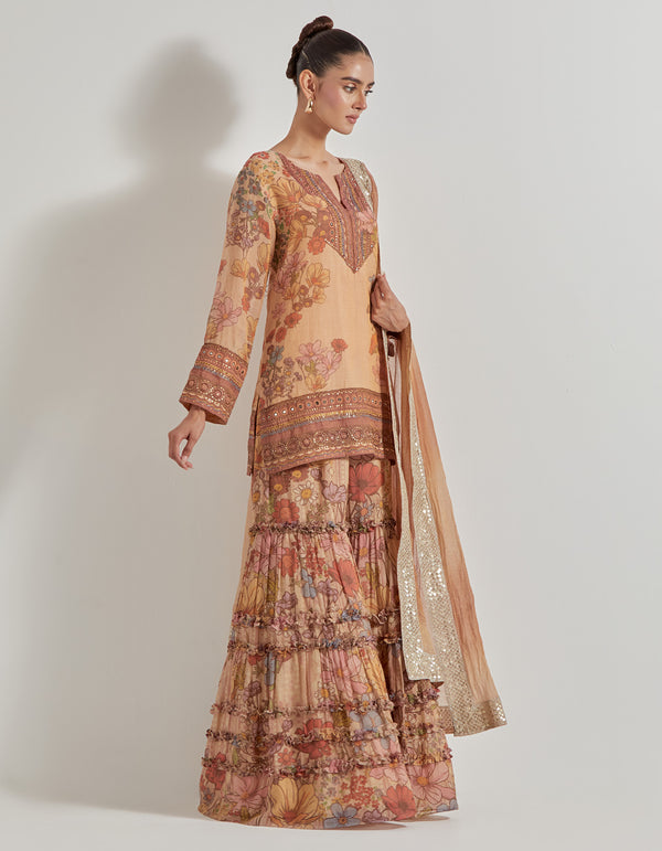 Multicolor Petal Prism Printed Tissue Chanderi Sharara Set