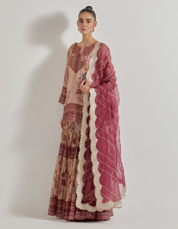 Multicolor Petal Prism Printed Sharara Set