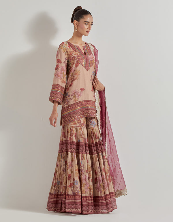 Multicolor Petal Prism Printed Sharara Set