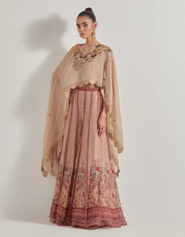 Multicolor Petal Prism Chanderi Tissue Sharara Set