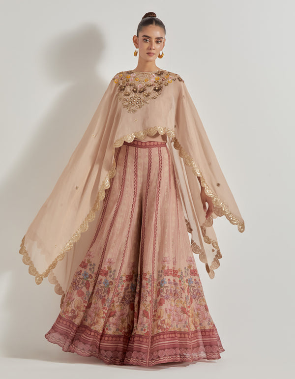 Multicolor Petal Prism Chanderi Tissue Sharara Set