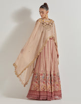 Multicolor Petal Prism Chanderi Tissue Sharara Set