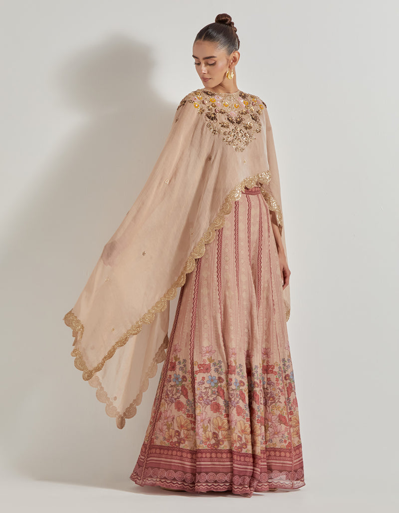 Multicolor Petal Prism Chanderi Tissue Sharara Set