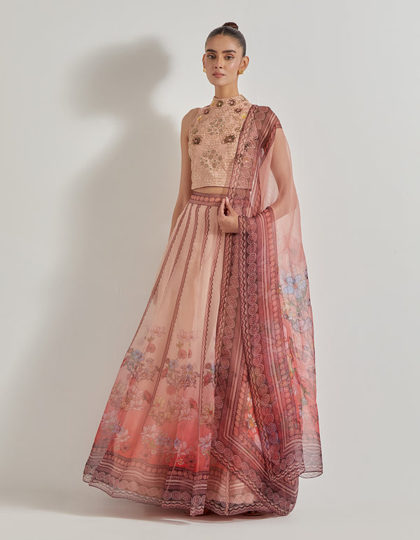 Multicolor Petal Prism Organza Lehenga Set