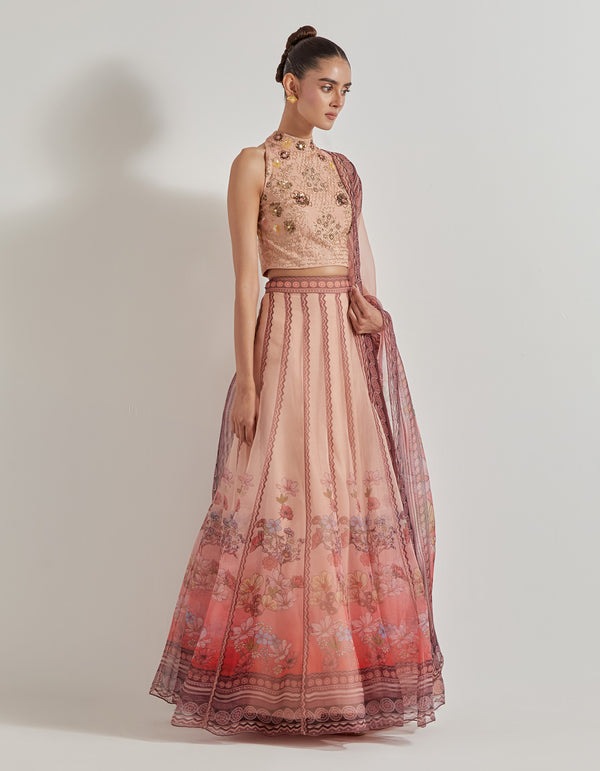 Multicolor Petal Prism Organza Lehenga Set
