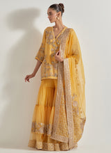 Desert Rose Yellow Sharara Set