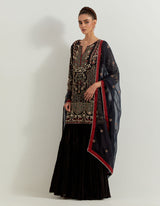 Black Chanderi And Silk Organza Pearl Zardozi Embroidery Sharara Set