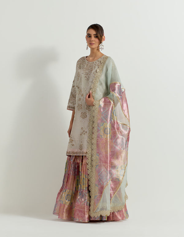 Multi Colour Raeth Sharara Set