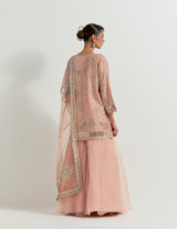 Pink Raeth Chanderi Sharara Set