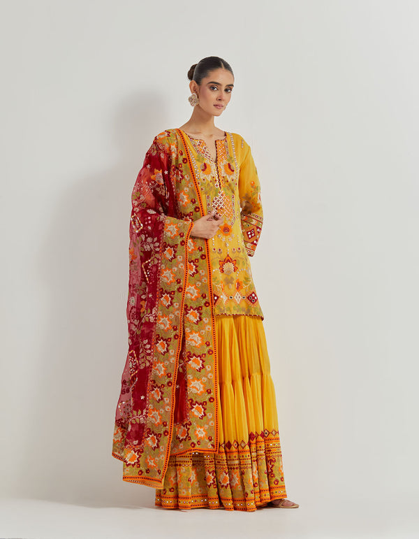 Yellow And Maroon And Rust Gota Patti Cross Stitch And Mirror Work Embroidered Sharara Set