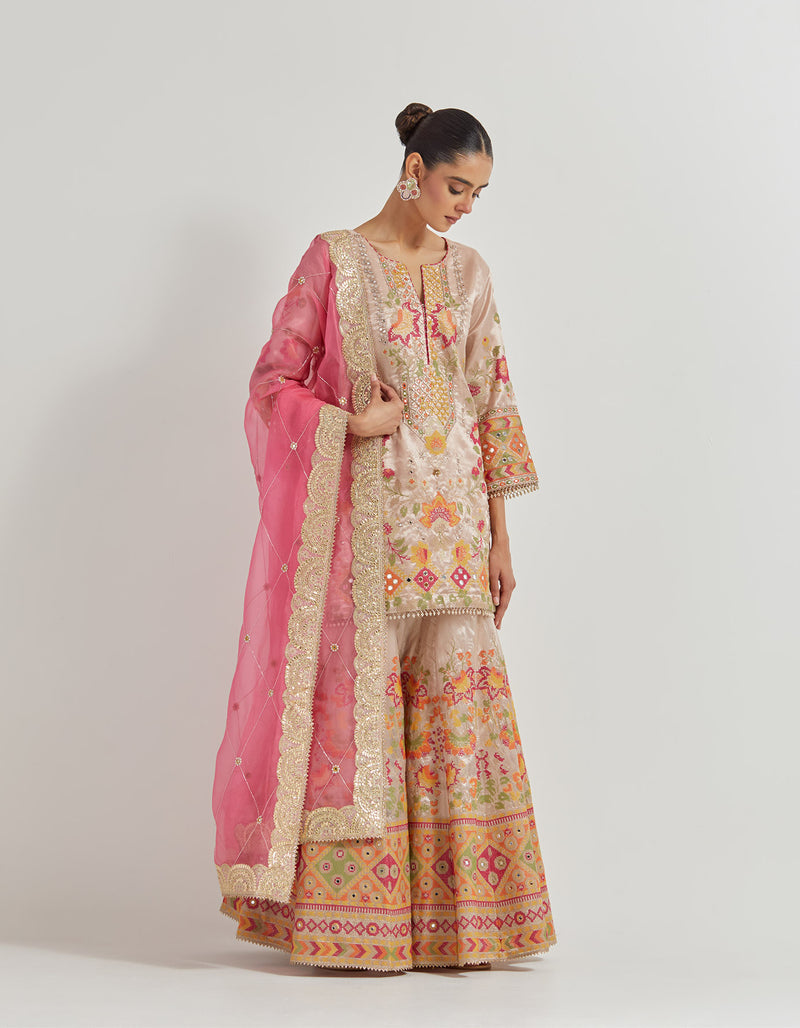 Tissue Sharara Set In Cross Stitch And Zardozi Embroidery Paired With Organza Silk Dupatta