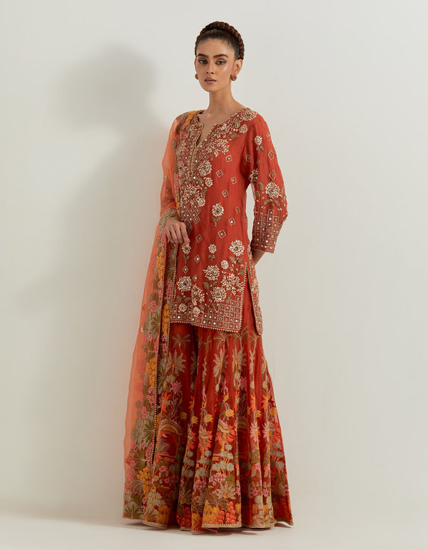 Rust Hand Embellished Kurti Paired With Floral Organza Sharara And Dupatta