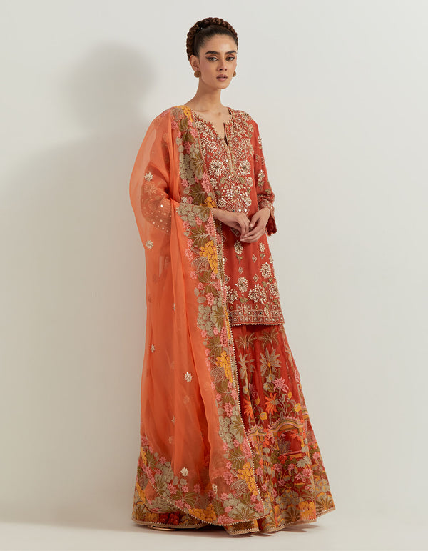Rust Hand Embellished Kurti Paired With Floral Organza Sharara And Dupatta