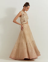 Desert Rose Ombrey Skirt And Waist Coat
