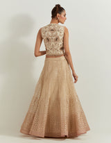 Desert Rose Ombrey Skirt And Waist Coat