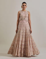 Champagne Pink Water Flimmer Lehenga Set
