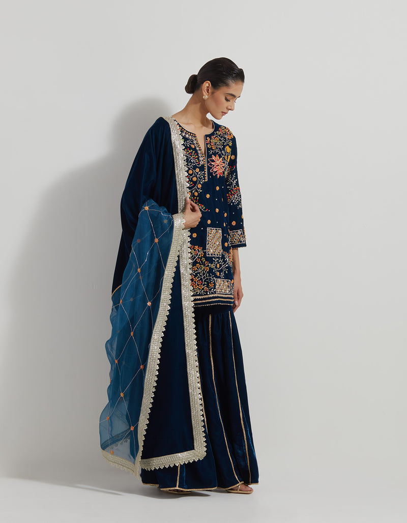 Velveteen Zardozi Embroidered Kurti Paired With Panelled Sharara Pants And Organza And Velvteen Dupatta