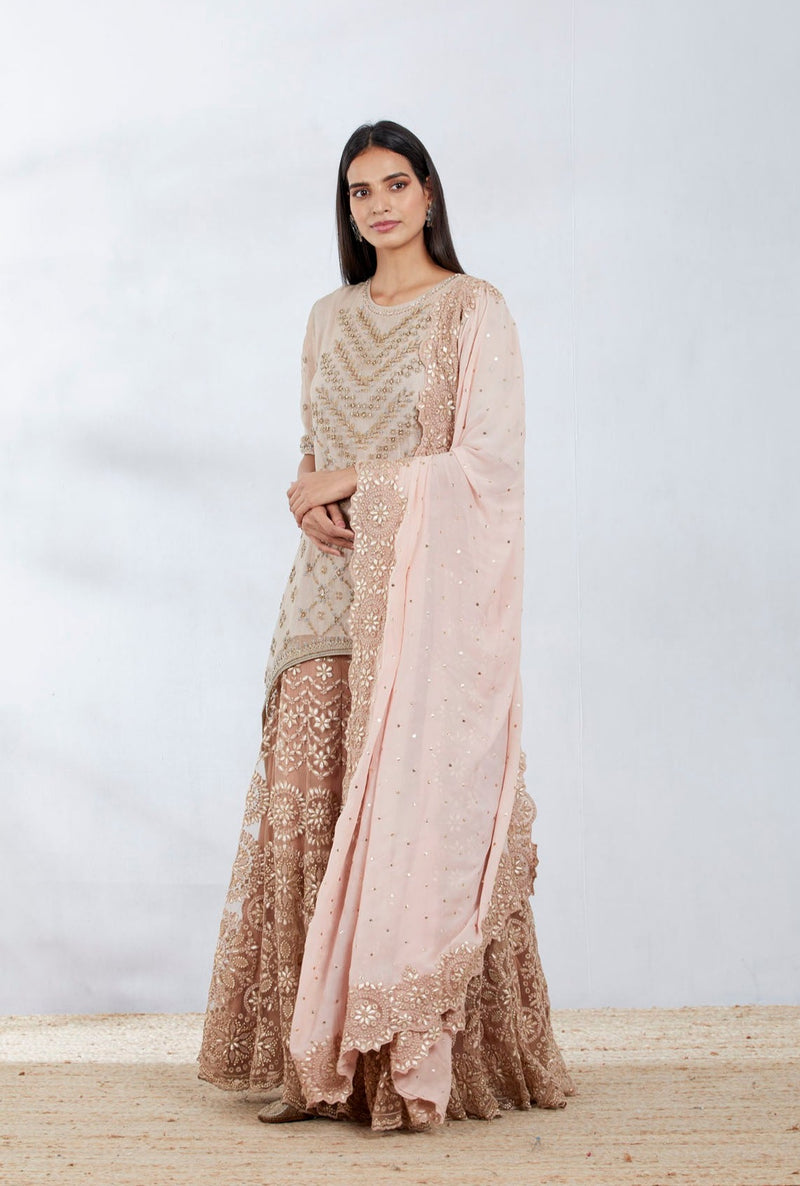 Nude Silk Tissue Embroidered Sharara Set