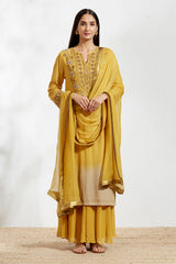 Ochre Georgette Kurta Set