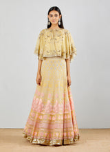 Organza And Tissue Front Open Embellished Cape With Gotta Patti Chikankari Skirt