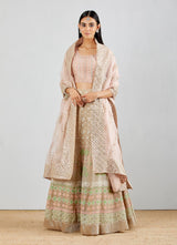 Blush Pink All Over Embroidered Organza Silk Lehenga with Blouse & Dupatta