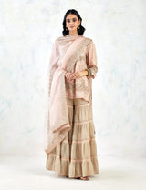 Nude Pink Sharara Set with Hand Embroidery