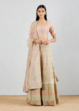 Blush Pink All Over Embroidered Organza Silk Lehenga with Blouse & Dupatta