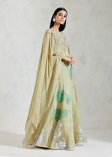 Green Georgette and Organza with Net Cape with Skirt