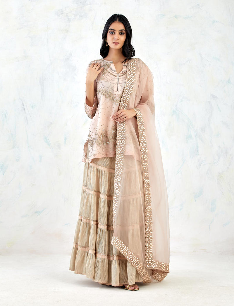 Nude Pink Sharara Set with Hand Embroidery