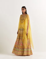 Yellow Cape With Skirt In Organza