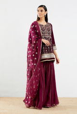 Wine Velvet Sharara Set with Embroidery