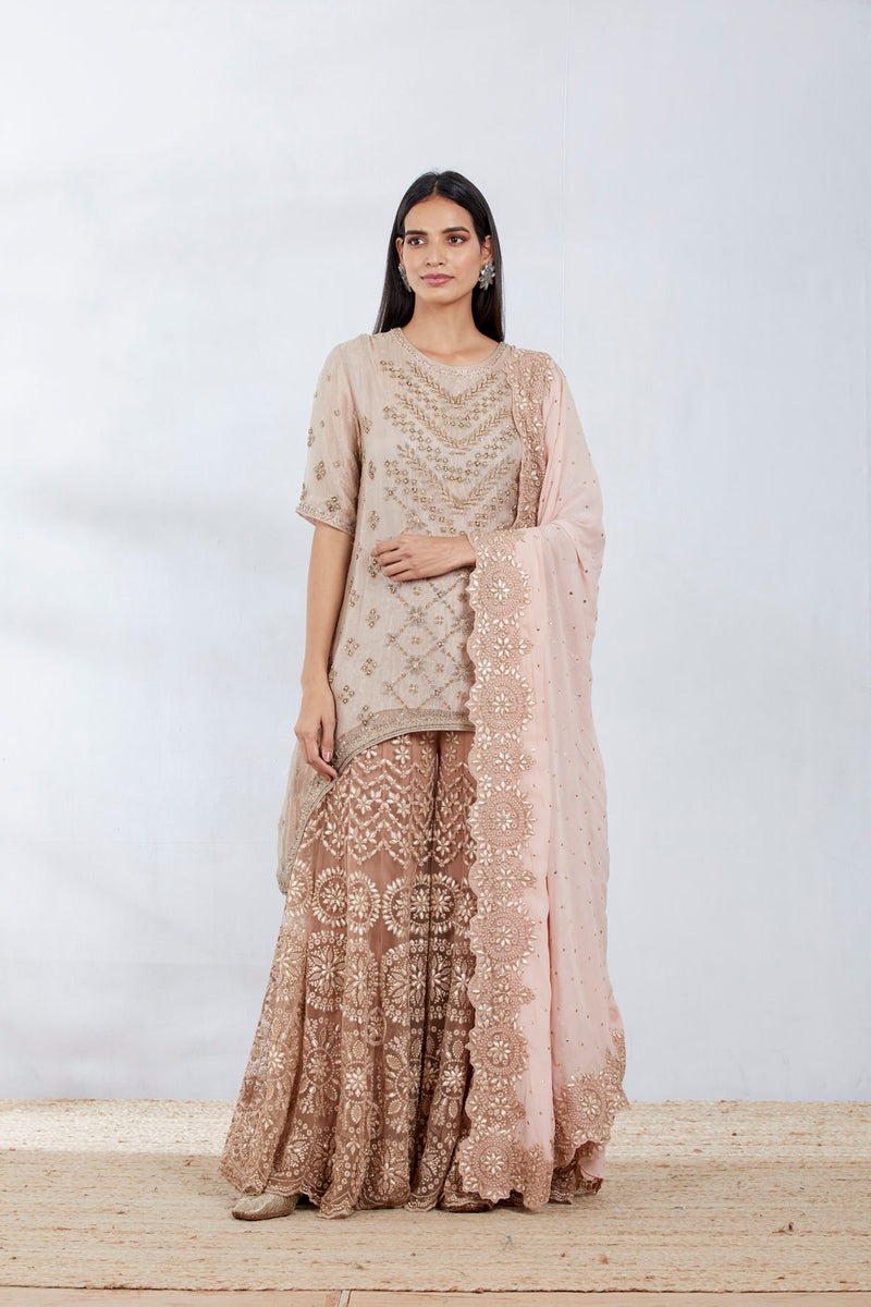 Nude Silk Tissue Embroidered Sharara Set