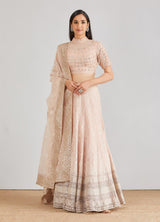 Pale Pink Embroidered Lehenga with Blouse and Dupatta