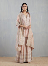 Pink Sharara Set