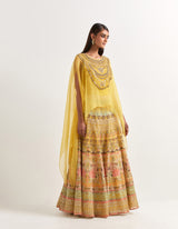 Yellow Cape With Skirt In Organza
