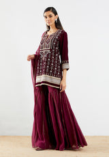 Wine Velvet Sharara Set with Embroidery