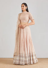Pale Pink Embroidered Lehenga with Blouse and Dupatta