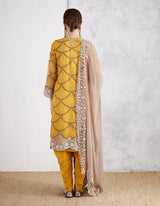 Mustard and taupe Embroidered Salwar Set
